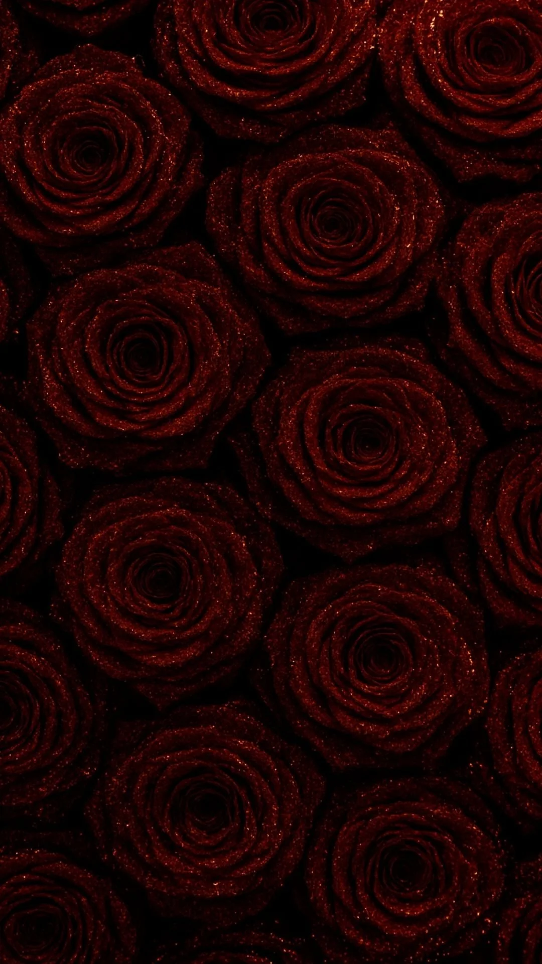 Red rose wall detail at OCCO